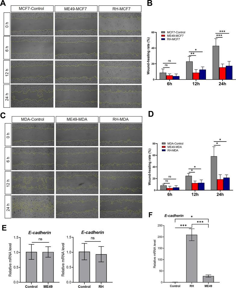 https://cdn.ncbi.nlm.nih.gov/pmc/blobs/3927/11040860/8559d081fdc4/12935_2024_3333_Fig3_HTML.jpg