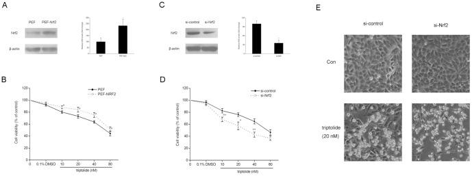 https://cdn.ncbi.nlm.nih.gov/pmc/blobs/392a/4079517/7f30eef2cb9d/pone.0100685.g003.jpg