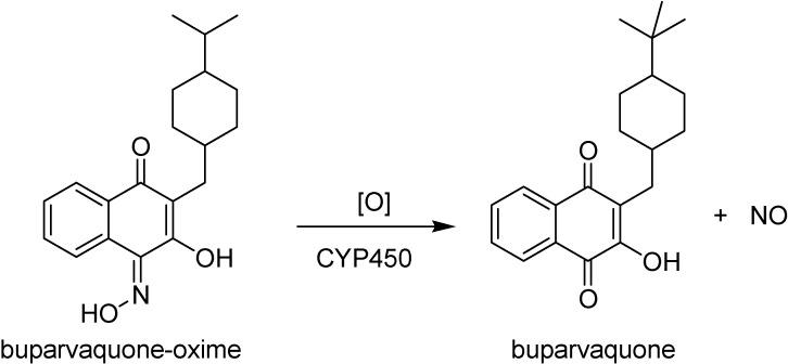 https://cdn.ncbi.nlm.nih.gov/pmc/blobs/392e/6245083/b26d8c0dcb1b/molecules-13-00616-g012.jpg