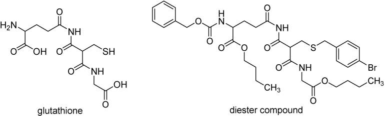 https://cdn.ncbi.nlm.nih.gov/pmc/blobs/392e/6245083/ca0446275ba1/molecules-13-00616-g007.jpg