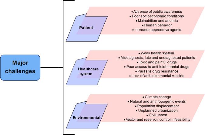 https://cdn.ncbi.nlm.nih.gov/pmc/blobs/3930/11043315/1c613341335a/44197_2024_190_Fig2_HTML.jpg