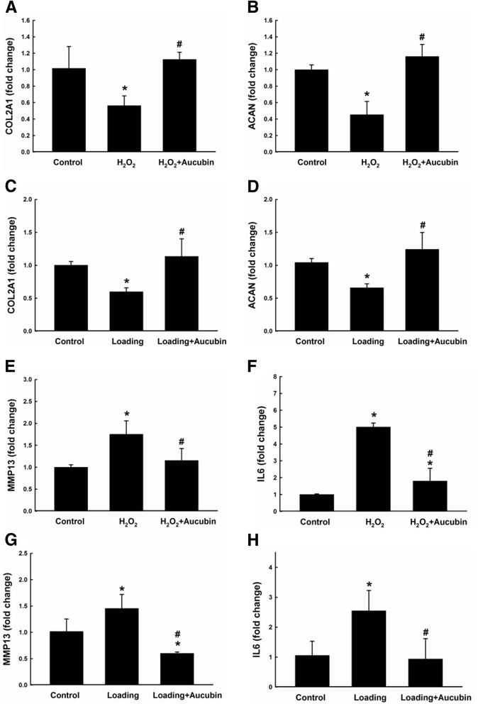 https://cdn.ncbi.nlm.nih.gov/pmc/blobs/3930/5288878/cada195dc248/12906_2017_1581_Fig6_HTML.jpg
