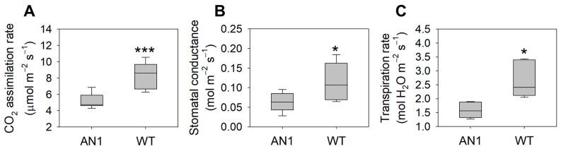 https://cdn.ncbi.nlm.nih.gov/pmc/blobs/3930/7916658/00304b90eb67/biology-10-00139-g004.jpg