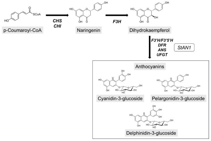 https://cdn.ncbi.nlm.nih.gov/pmc/blobs/3930/7916658/91ec0968b78e/biology-10-00139-g001.jpg