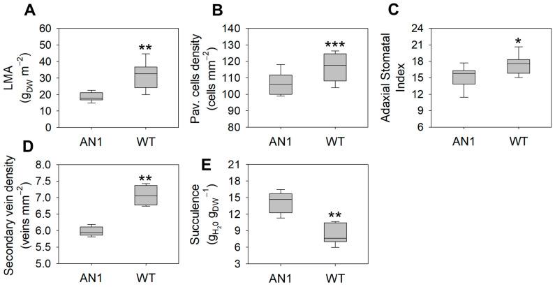 https://cdn.ncbi.nlm.nih.gov/pmc/blobs/3930/7916658/cf9a7659d88b/biology-10-00139-g005.jpg