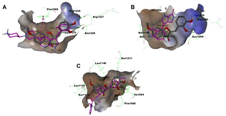https://cdn.ncbi.nlm.nih.gov/pmc/blobs/3934/10675456/30010c4e81a1/pharmaceuticals-16-01597-g014.jpg
