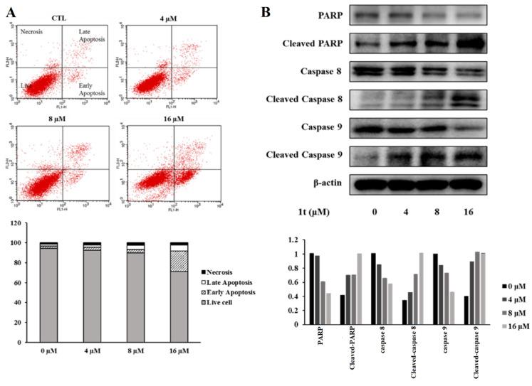 https://cdn.ncbi.nlm.nih.gov/pmc/blobs/3934/10675456/d44938220e8b/pharmaceuticals-16-01597-g011.jpg