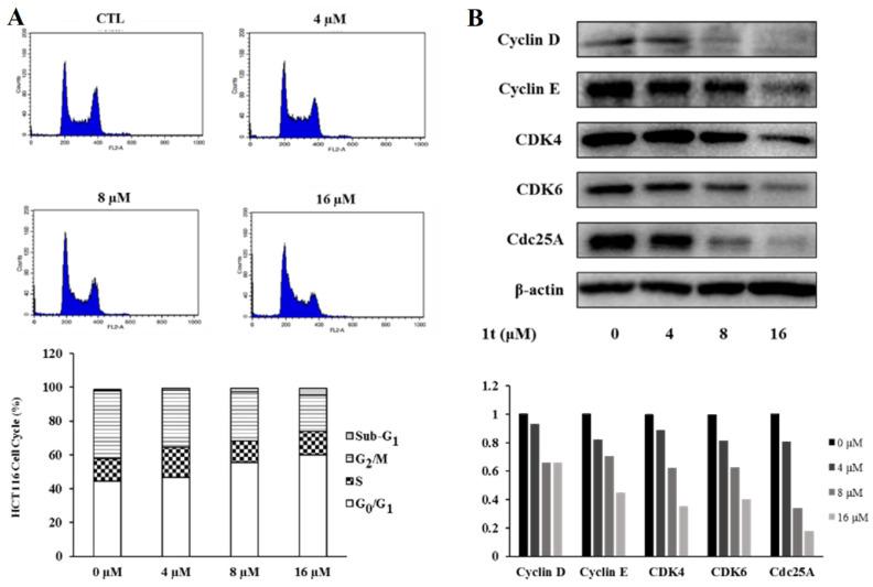 https://cdn.ncbi.nlm.nih.gov/pmc/blobs/3934/10675456/e2eb094be6cb/pharmaceuticals-16-01597-g012.jpg