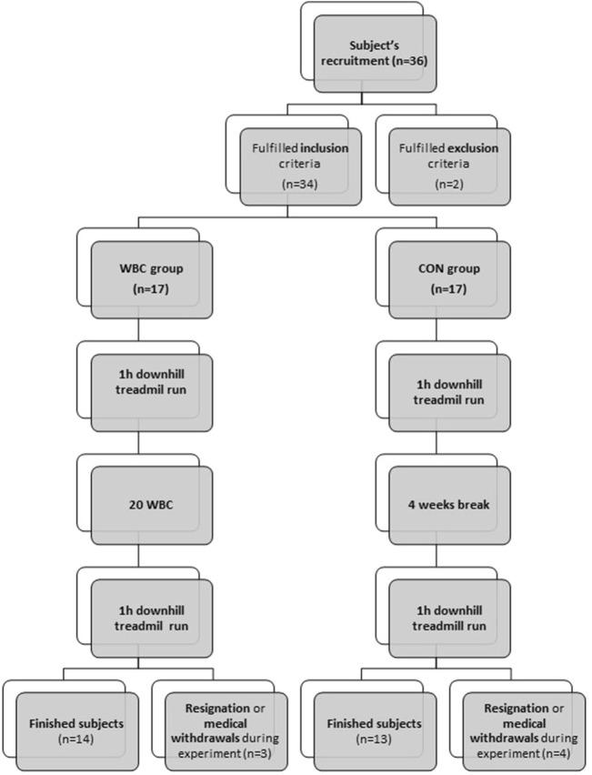 https://cdn.ncbi.nlm.nih.gov/pmc/blobs/3936/11220252/0a869c4b62b0/fphys-15-1413949-g001.jpg