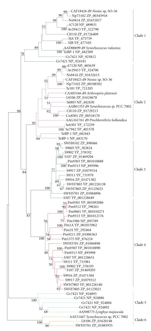 https://cdn.ncbi.nlm.nih.gov/pmc/blobs/3937/2593844/317fd32fecf2/CFG2008-284508.007.jpg