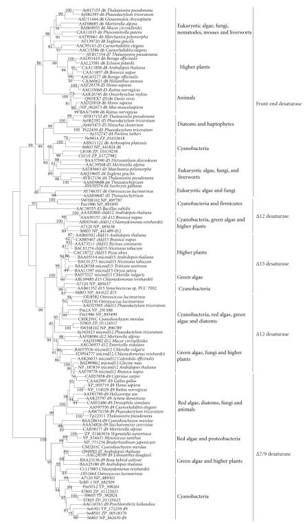 https://cdn.ncbi.nlm.nih.gov/pmc/blobs/3937/2593844/7e9f223a1ace/CFG2008-284508.012.jpg