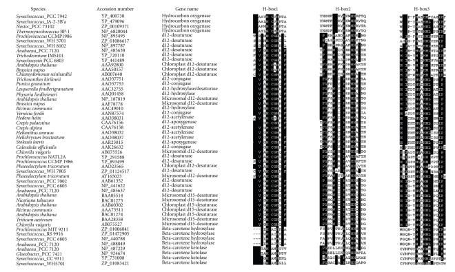 https://cdn.ncbi.nlm.nih.gov/pmc/blobs/3937/2593844/a04764590895/CFG2008-284508.002.jpg