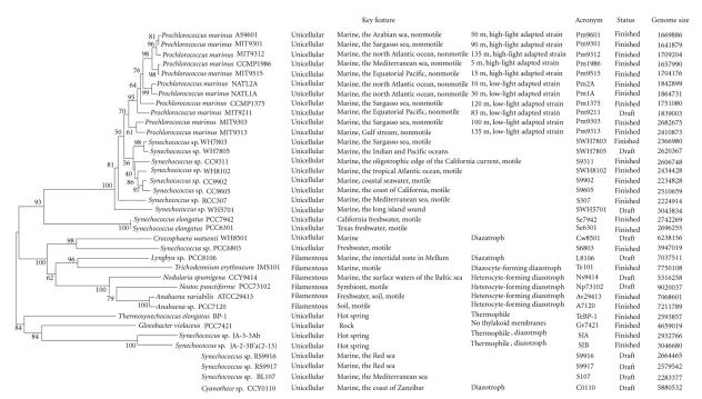 https://cdn.ncbi.nlm.nih.gov/pmc/blobs/3937/2593844/ac12a7cd4a24/CFG2008-284508.001.jpg