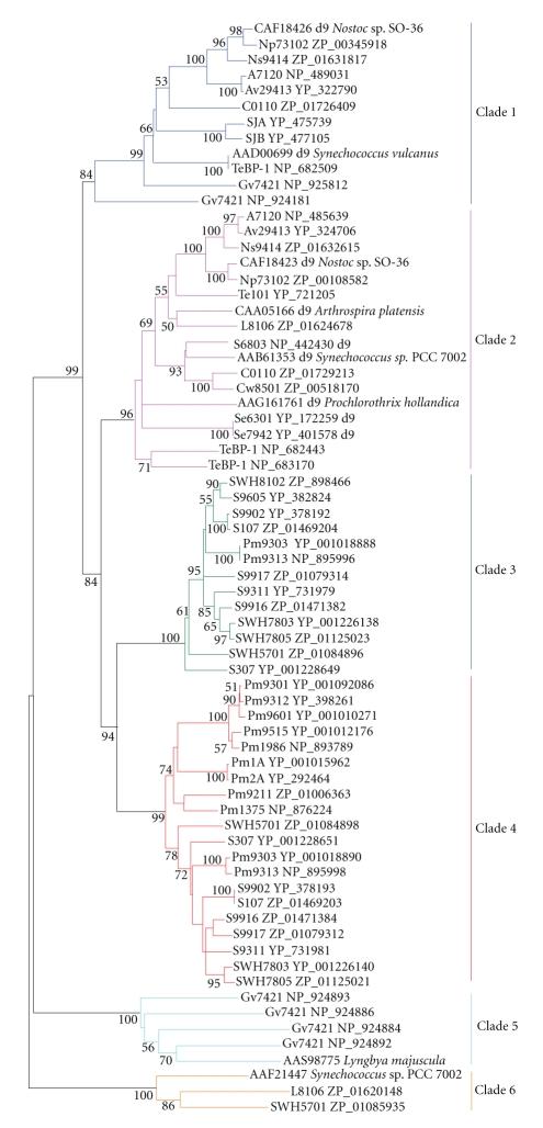 https://cdn.ncbi.nlm.nih.gov/pmc/blobs/3937/2593844/dccfc47f87bc/CFG2008-284508.006.jpg