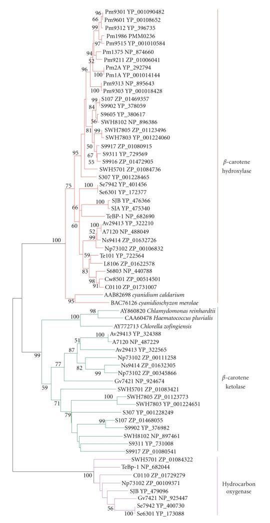 https://cdn.ncbi.nlm.nih.gov/pmc/blobs/3937/2593844/dd69e003998a/CFG2008-284508.004.jpg