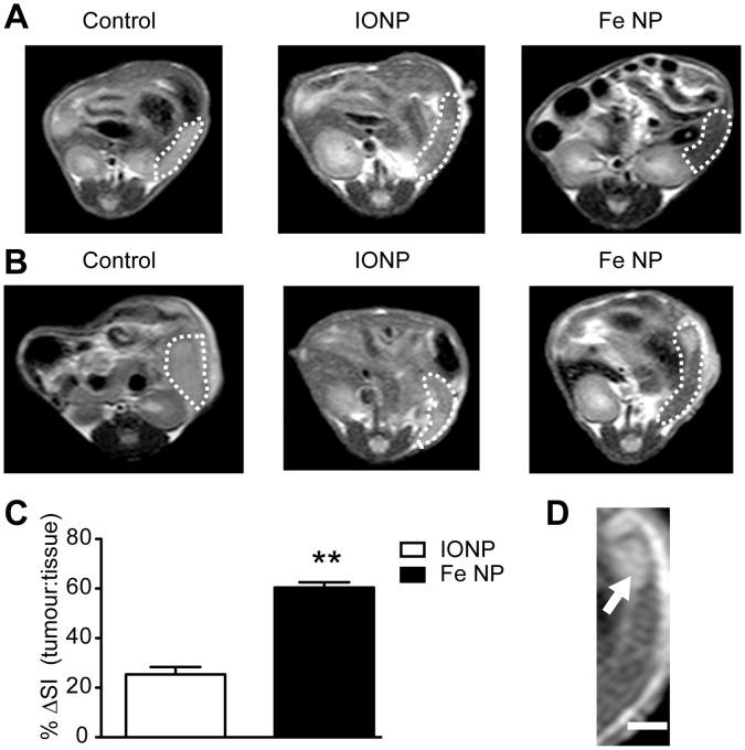 https://cdn.ncbi.nlm.nih.gov/pmc/blobs/393a/3577855/90d95edb555b/pone.0056572.g002.jpg