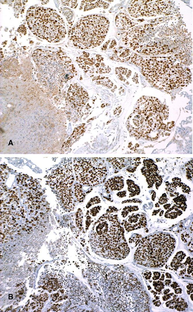 https://cdn.ncbi.nlm.nih.gov/pmc/blobs/393a/4421192/642311413073/sfp025fig1.jpg