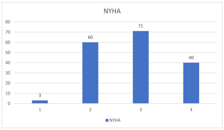 https://cdn.ncbi.nlm.nih.gov/pmc/blobs/393c/12113112/e787cb568285/life-15-00786-g004.jpg