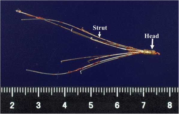 https://cdn.ncbi.nlm.nih.gov/pmc/blobs/393d/6482199/c0fe015664e9/40792_2019_626_Fig6_HTML.jpg