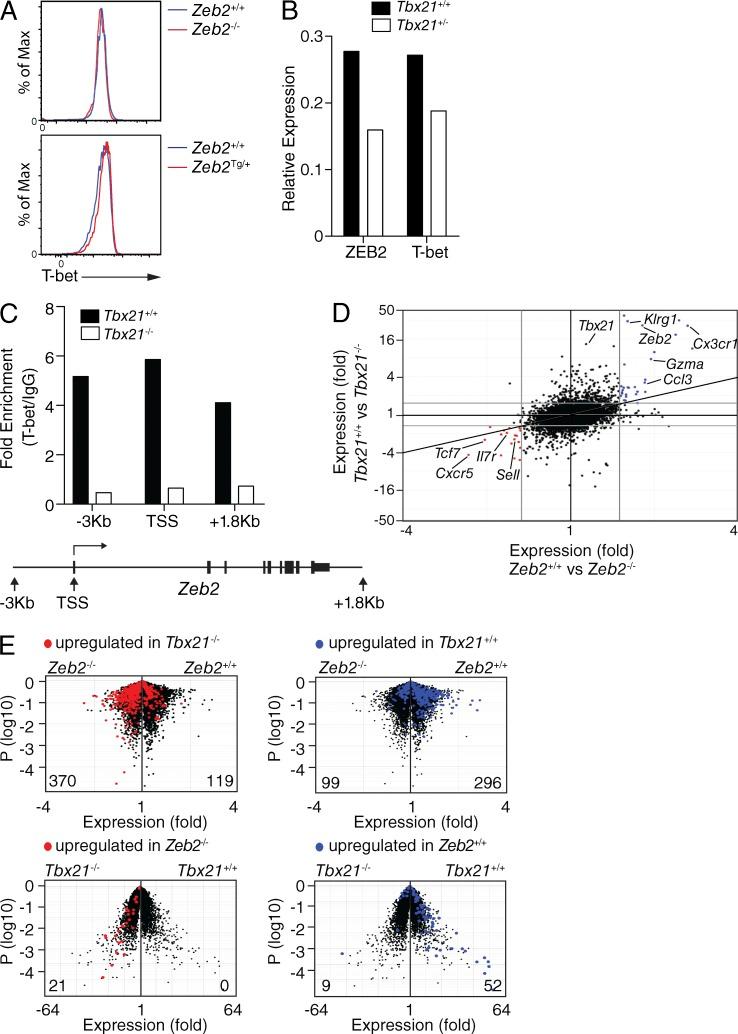 https://cdn.ncbi.nlm.nih.gov/pmc/blobs/3944/4647262/70c8c12dd9d0/JEM_20150194_Fig5.jpg