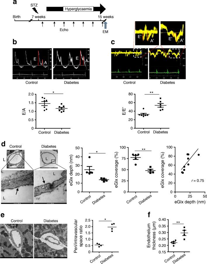 https://cdn.ncbi.nlm.nih.gov/pmc/blobs/3944/8960650/180730b0274f/125_2022_5650_Fig1_HTML.jpg