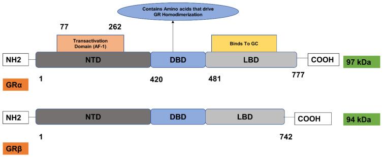 https://cdn.ncbi.nlm.nih.gov/pmc/blobs/3946/7825104/eeea5549821e/cancers-13-00163-g005.jpg