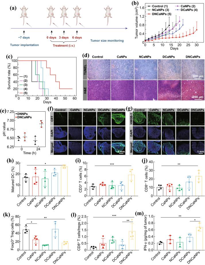 https://cdn.ncbi.nlm.nih.gov/pmc/blobs/3948/8187673/0fb95d659a96/40820_2020_549_Fig4_HTML.jpg