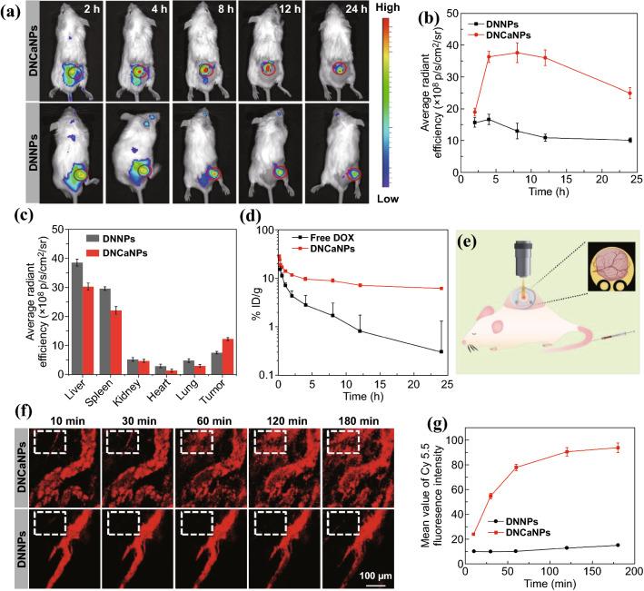 https://cdn.ncbi.nlm.nih.gov/pmc/blobs/3948/8187673/1de9e93721eb/40820_2020_549_Fig3_HTML.jpg