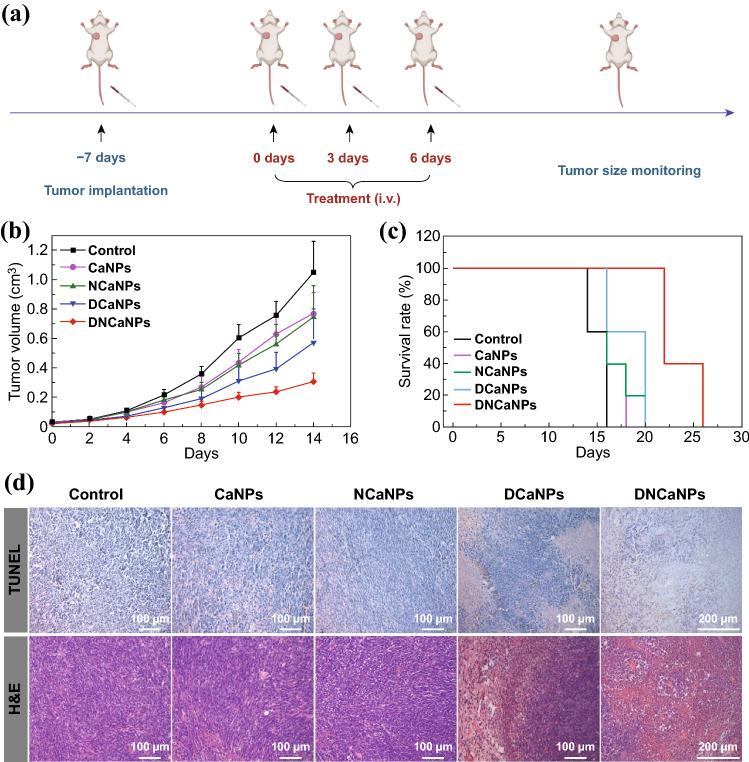 https://cdn.ncbi.nlm.nih.gov/pmc/blobs/3948/8187673/9c3267ad24ae/40820_2020_549_Fig5_HTML.jpg
