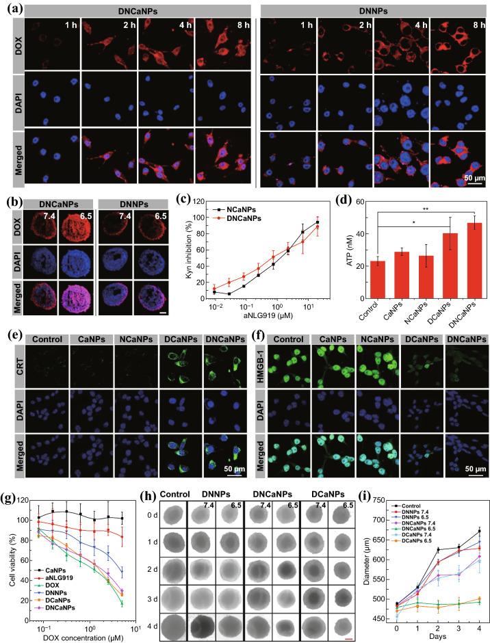 https://cdn.ncbi.nlm.nih.gov/pmc/blobs/3948/8187673/d1c9dfa04ac9/40820_2020_549_Fig2_HTML.jpg