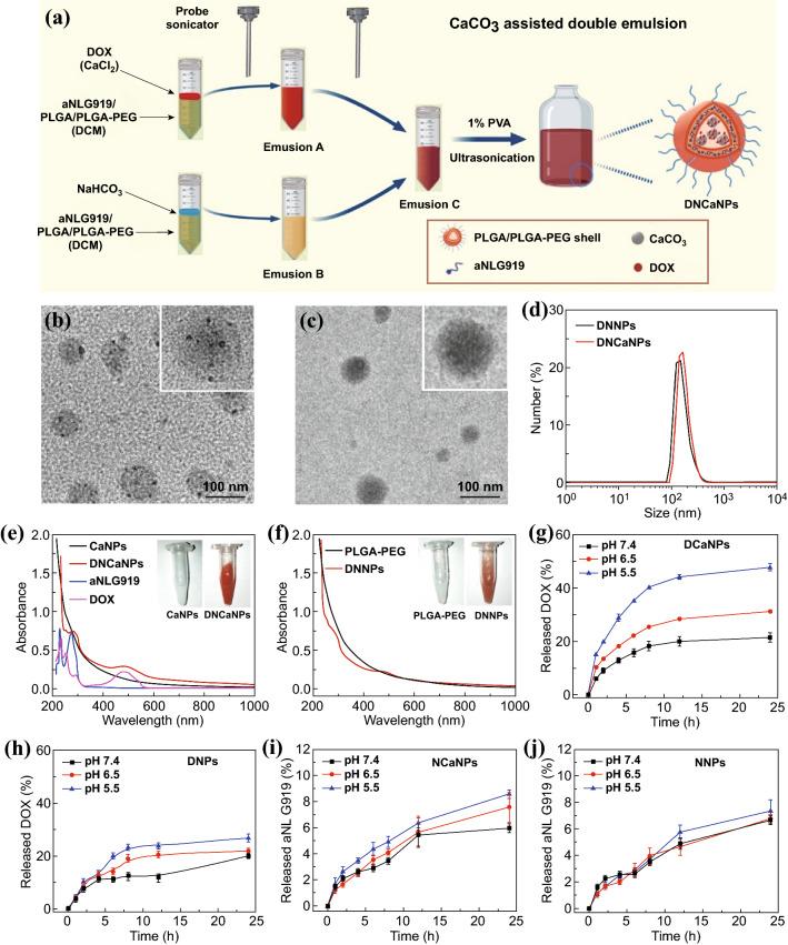 https://cdn.ncbi.nlm.nih.gov/pmc/blobs/3948/8187673/e94a67de0738/40820_2020_549_Fig1_HTML.jpg