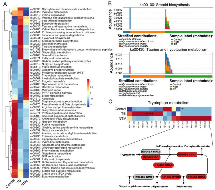 https://cdn.ncbi.nlm.nih.gov/pmc/blobs/3949/11532197/32595bcae76b/fcimb-14-1455605-g004.jpg