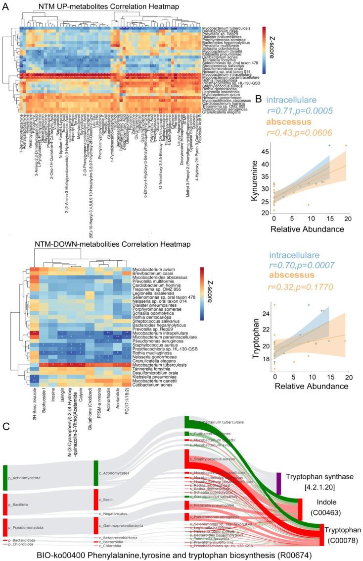 https://cdn.ncbi.nlm.nih.gov/pmc/blobs/3949/11532197/57d3d961b514/fcimb-14-1455605-g006.jpg