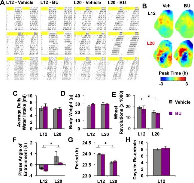 https://cdn.ncbi.nlm.nih.gov/pmc/blobs/394a/6867713/d772f7641f2c/elife-49578-fig5-figsupp1.jpg