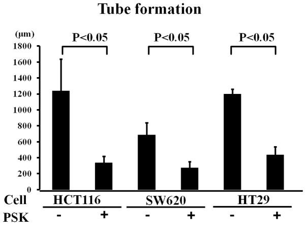 https://cdn.ncbi.nlm.nih.gov/pmc/blobs/394b/3503532/bc314d484926/ETM-04-03-0370-g02.jpg