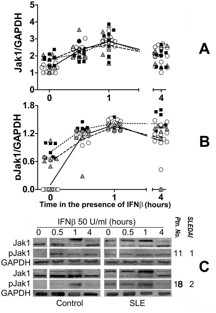 https://cdn.ncbi.nlm.nih.gov/pmc/blobs/394c/3408474/60c087bbcfa0/pone.0041414.g001.jpg