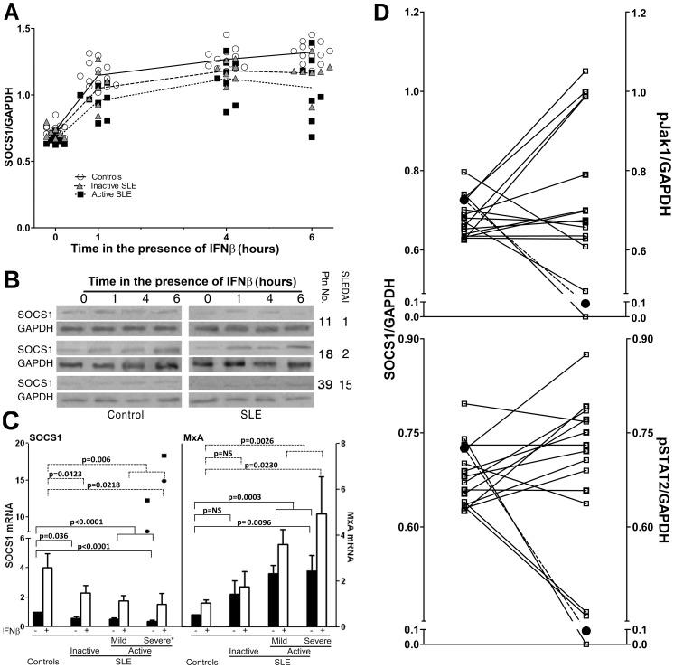 https://cdn.ncbi.nlm.nih.gov/pmc/blobs/394c/3408474/96dd21ae6756/pone.0041414.g005.jpg