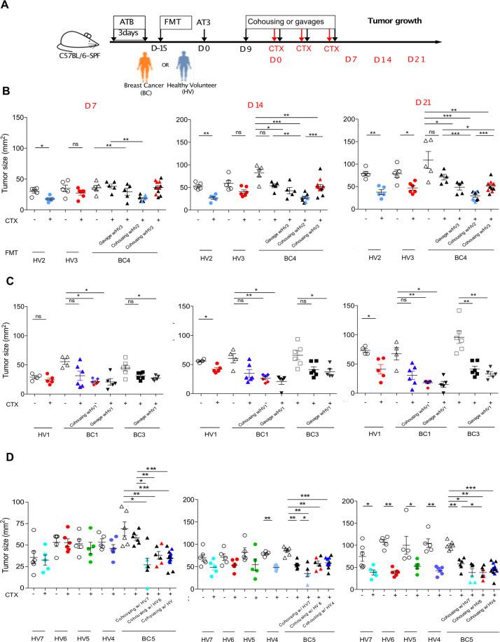 https://cdn.ncbi.nlm.nih.gov/pmc/blobs/394c/8408230/094d5ee70d1a/41418_2021_784_Fig6_HTML.jpg