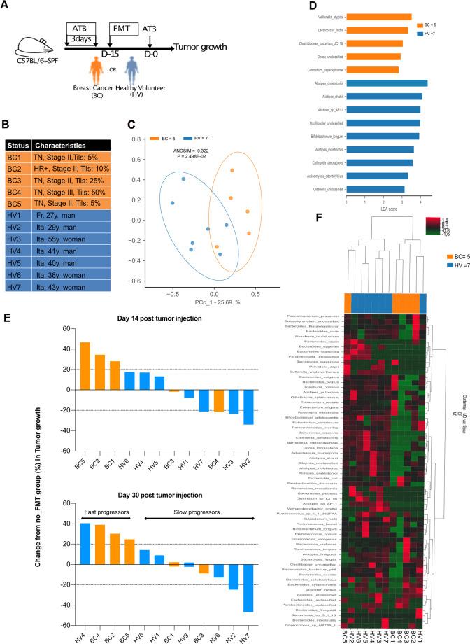 https://cdn.ncbi.nlm.nih.gov/pmc/blobs/394c/8408230/3982cf6140e0/41418_2021_784_Fig5_HTML.jpg