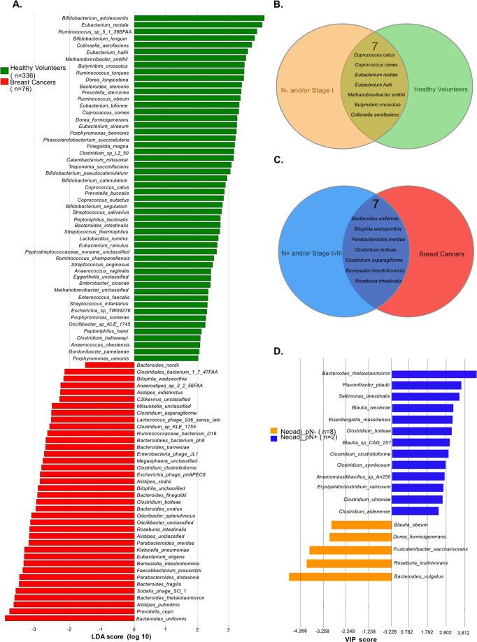 https://cdn.ncbi.nlm.nih.gov/pmc/blobs/394c/8408230/6789560e1a10/41418_2021_784_Fig2_HTML.jpg
