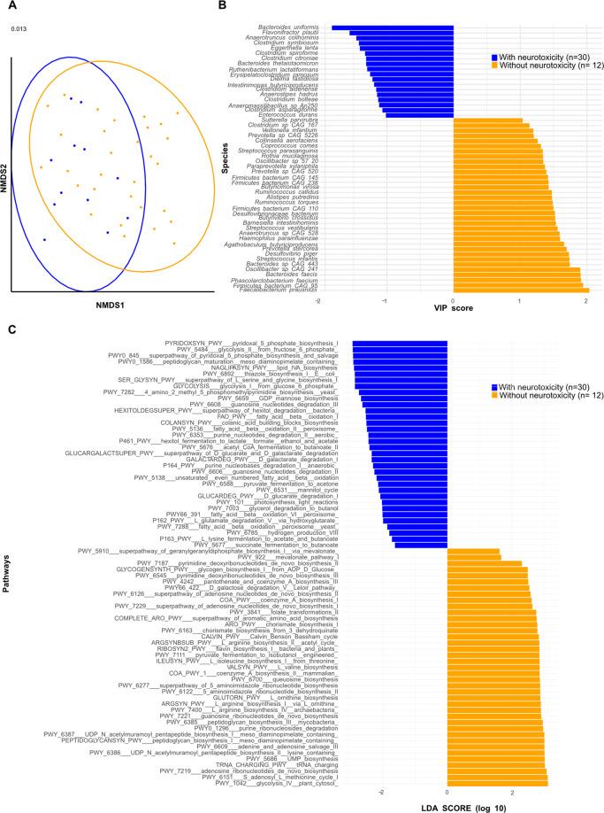 https://cdn.ncbi.nlm.nih.gov/pmc/blobs/394c/8408230/6e729d7f8e5b/41418_2021_784_Fig4_HTML.jpg