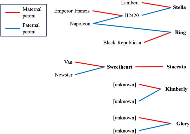 https://cdn.ncbi.nlm.nih.gov/pmc/blobs/394d/5376269/0bd65d58baea/gr1.jpg