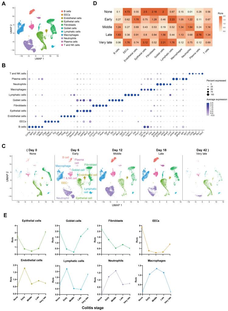 https://cdn.ncbi.nlm.nih.gov/pmc/blobs/394e/11050633/861a6ec3f746/ijms-25-04469-g001.jpg