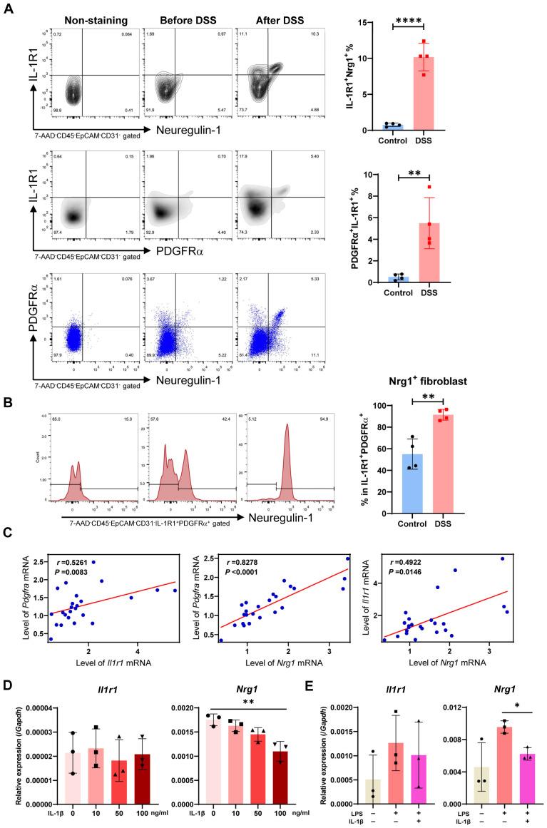 https://cdn.ncbi.nlm.nih.gov/pmc/blobs/394e/11050633/daca23e42205/ijms-25-04469-g006.jpg