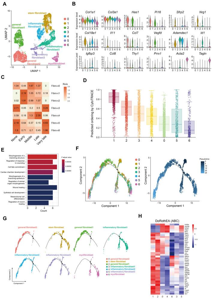 https://cdn.ncbi.nlm.nih.gov/pmc/blobs/394e/11050633/df47d8bf9fc5/ijms-25-04469-g002.jpg