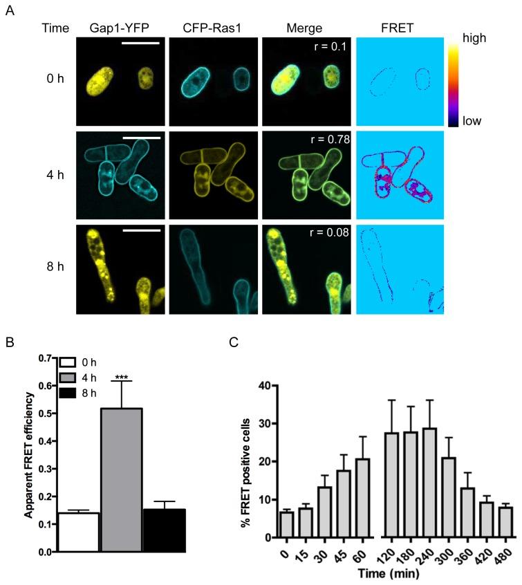 https://cdn.ncbi.nlm.nih.gov/pmc/blobs/394f/3797800/c9c5a3b5ebcc/pone.0077487.g002.jpg