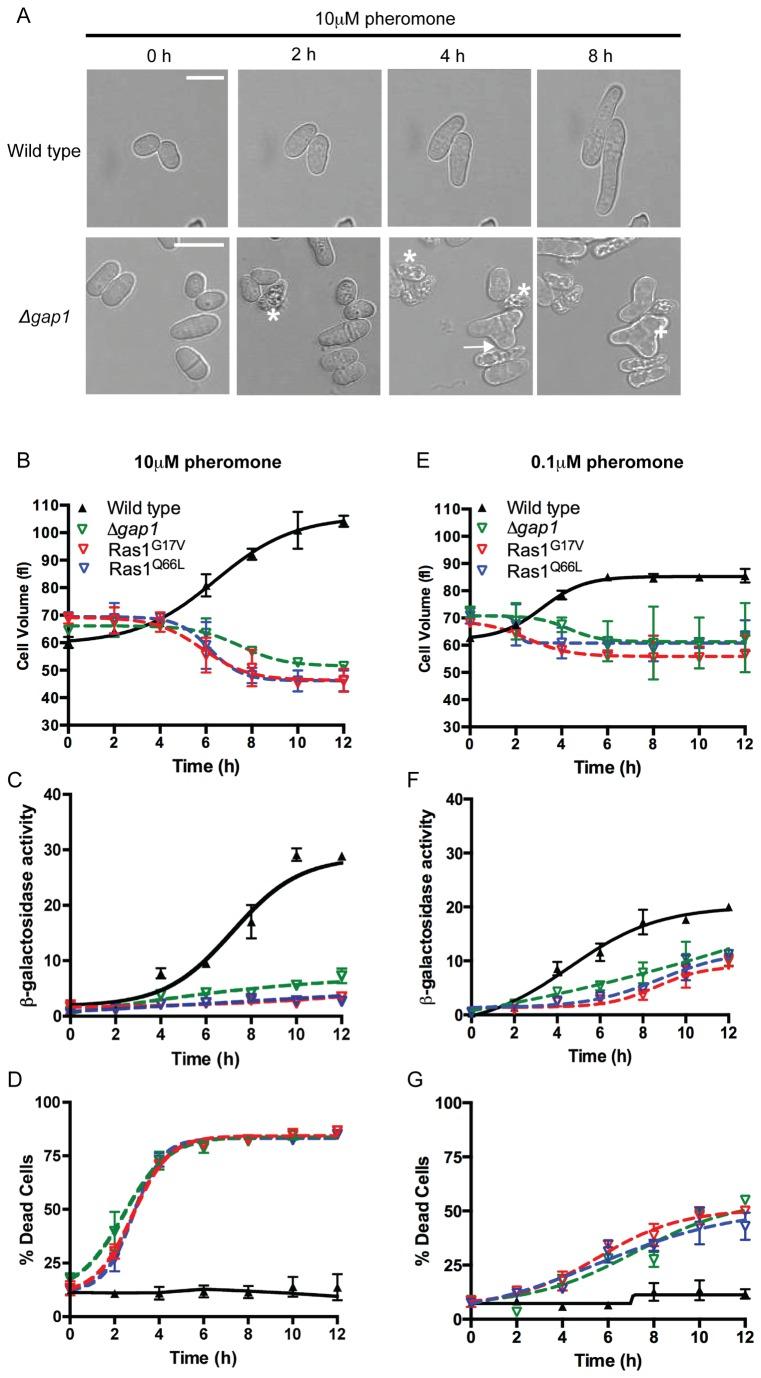 https://cdn.ncbi.nlm.nih.gov/pmc/blobs/394f/3797800/eb6cd02498b7/pone.0077487.g005.jpg