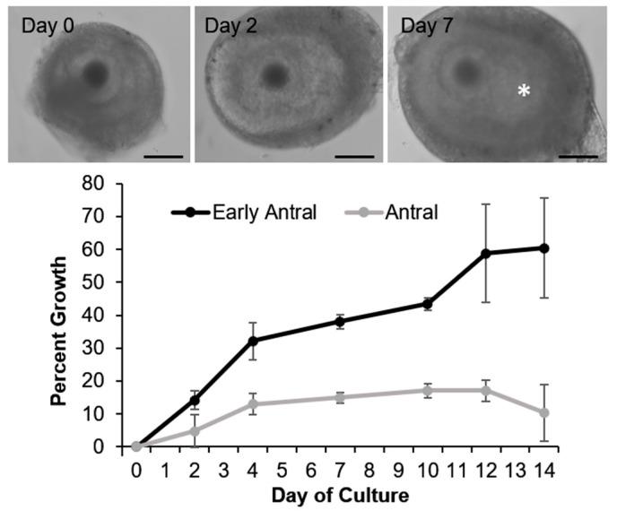 https://cdn.ncbi.nlm.nih.gov/pmc/blobs/3950/8001368/721a0e4a5794/animals-11-00653-g002.jpg