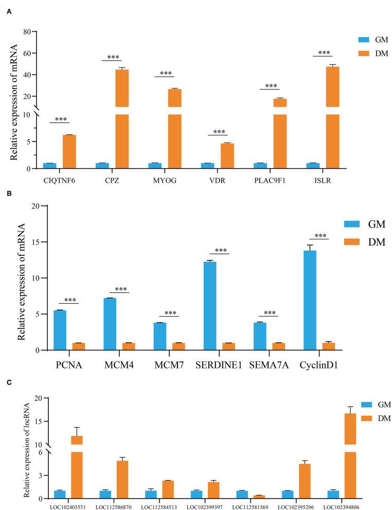 https://cdn.ncbi.nlm.nih.gov/pmc/blobs/3950/8294193/83da4fe7d62e/fgene-12-643497-g0005.jpg
