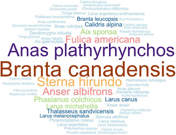https://cdn.ncbi.nlm.nih.gov/pmc/blobs/3953/10086952/ec67937b41d7/TBED-69-3285-g005.jpg